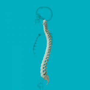 5-how-often-do-you-think-about-your-spine